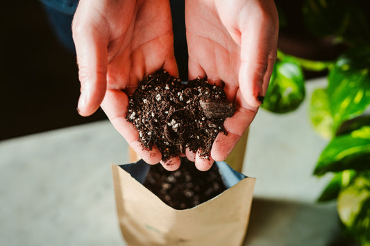 Why Compost is Nature’s Best Fertilizer: 5 Microbial Benefits for Roots