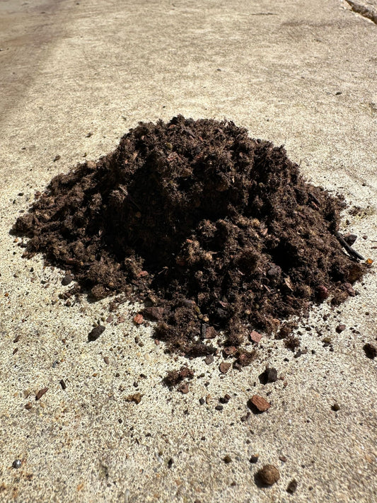 Why Earthworm Castings are Nature's Perfect Fertilizer: 5 Microbial Benefits for Roots