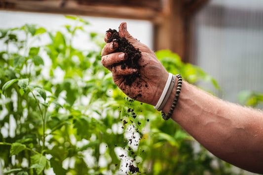 How Compost Supports a Healthier Planet and Better Plants