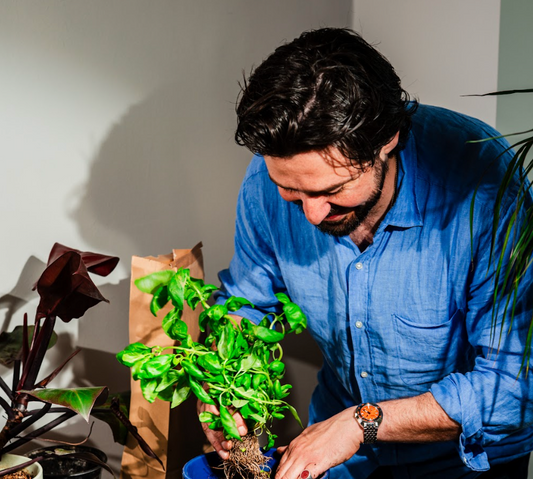 Is Compost Worth the Price? What Premium Soil Gets You