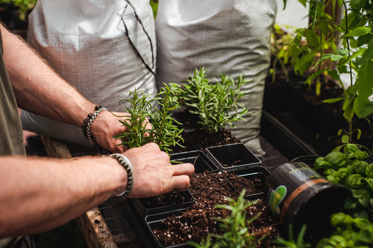 Organic vs Synthetic Soil Nutrition: Which Is Better for Your Plants?