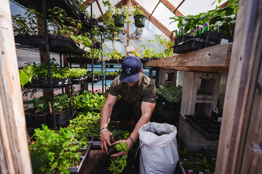 How Compost Supercharges Plant Growth: The Science Explained